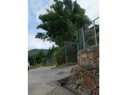 View 43