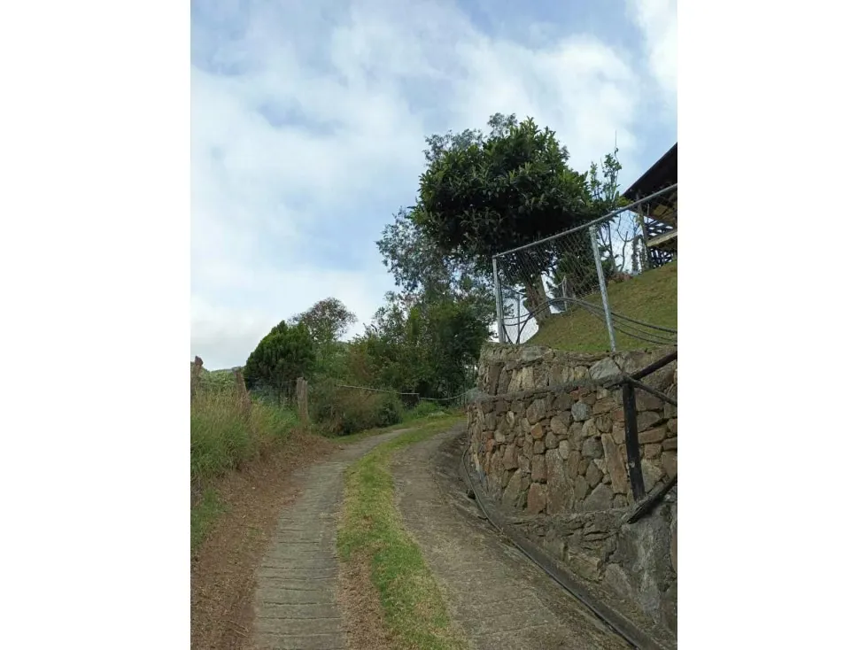 En venta Casa Campestre 1.215m2 La Colonia Tovar (vía Puerto Cruz) - 44