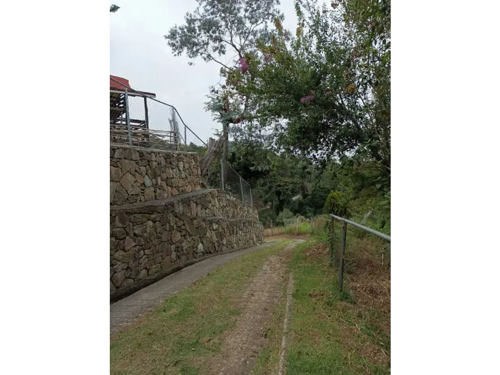 En venta Casa Campestre 1.215m2 La Colonia Tovar (vía Puerto Cruz) - 47