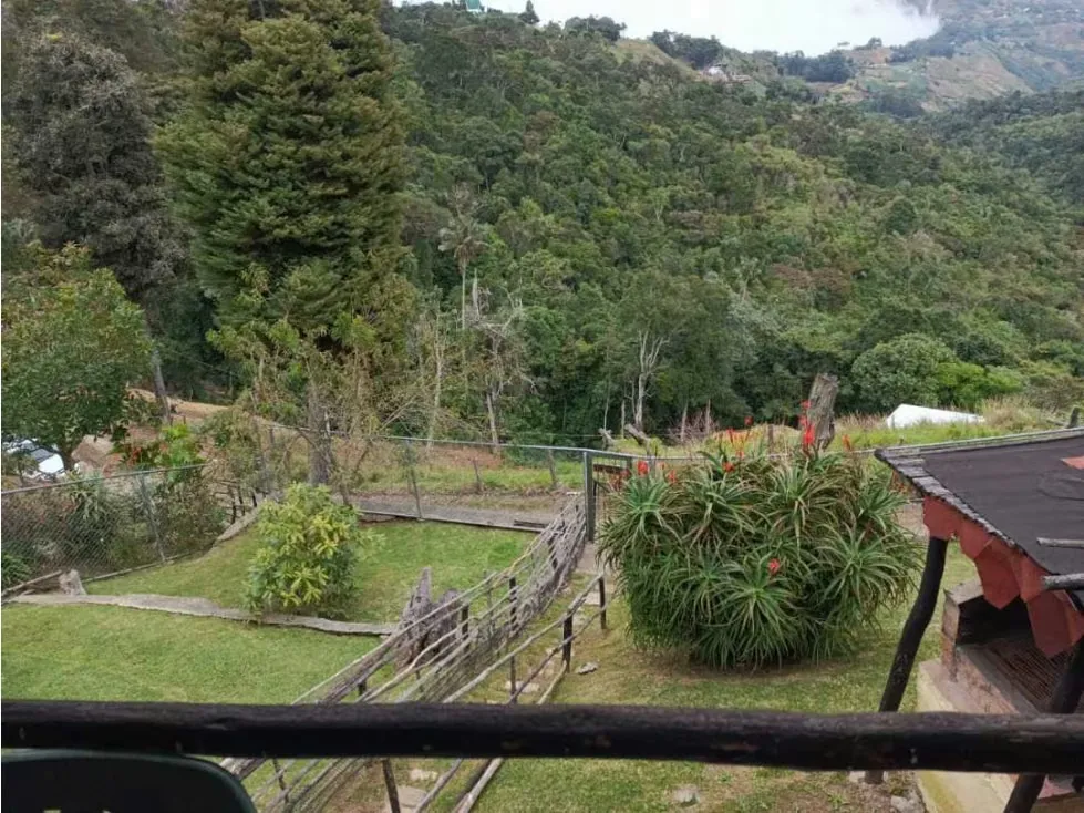 En venta Casa Campestre 1.215m2 La Colonia Tovar (vía Puerto Cruz) - 49