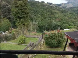 View 49