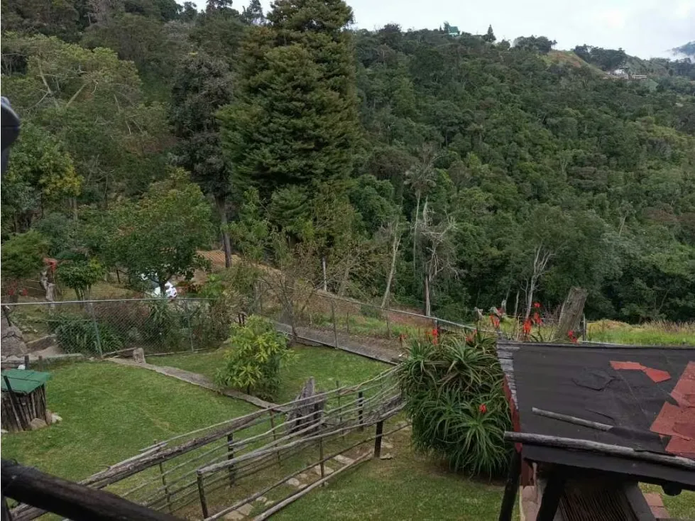 En venta Casa Campestre 1.215m2 La Colonia Tovar (vía Puerto Cruz) - 50