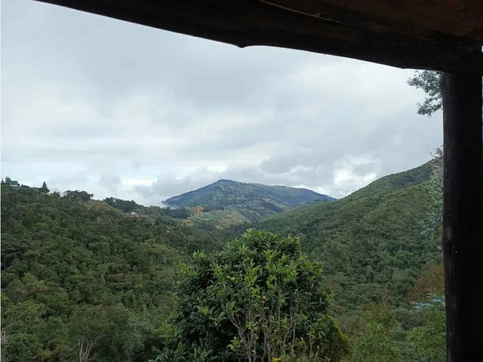 En venta Casa Campestre 1.215m2 La Colonia Tovar (vía Puerto Cruz) - 51