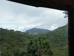 View 51
