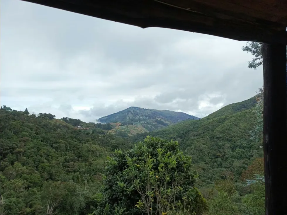En venta Casa Campestre 1.215m2 La Colonia Tovar (vía Puerto Cruz) - 52