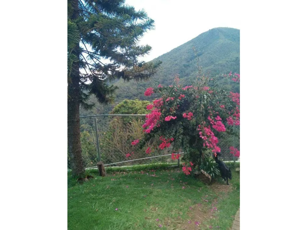 En venta Casa Campestre 1.215m2 La Colonia Tovar (vía Puerto Cruz) - 53