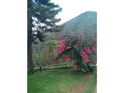 View 53