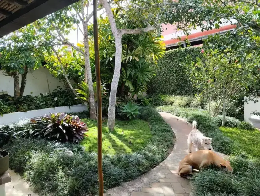 Rent a comfortable and beautiful annex in La Lagunita, El Hatillo.