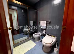 Vista 20