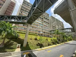 Vista 26