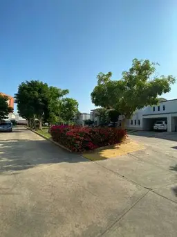 Vista 7