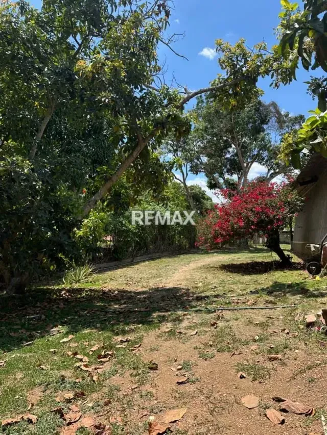 Granja en Manzano Abajo - 19
