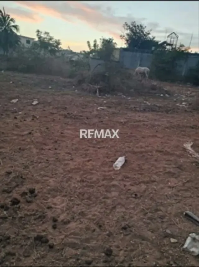 TERRENO COMERCIAL EN EL COMPLEJO CAMPESTRE LOS BUCARES - 2