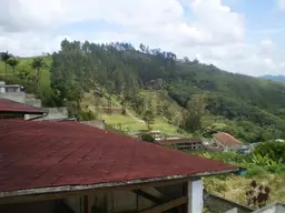 View 13