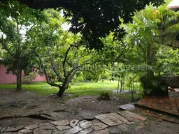 Vista 19