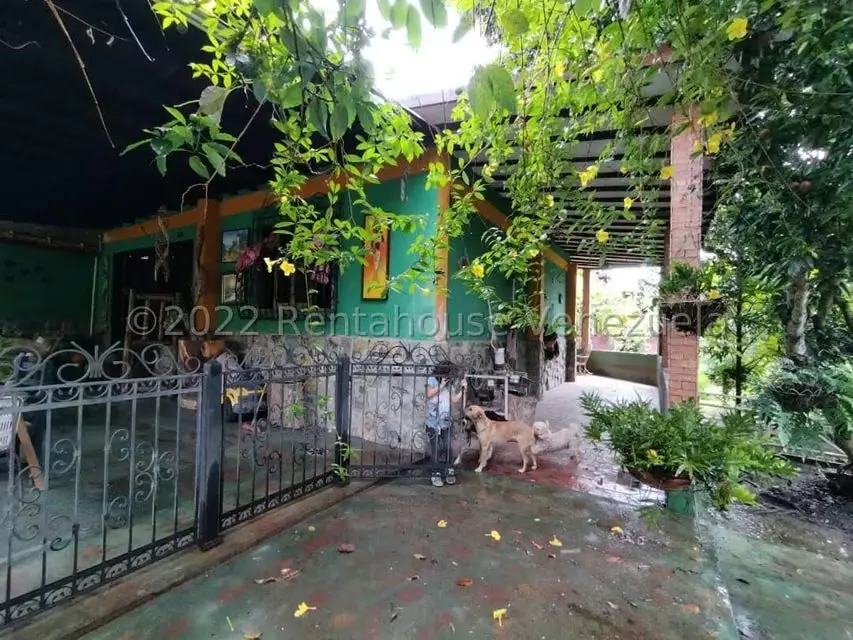 Casa (1 Nivel) en Venta en Bruzual, Yaracuy - 2