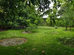 Vista 5