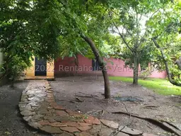 Vista 9