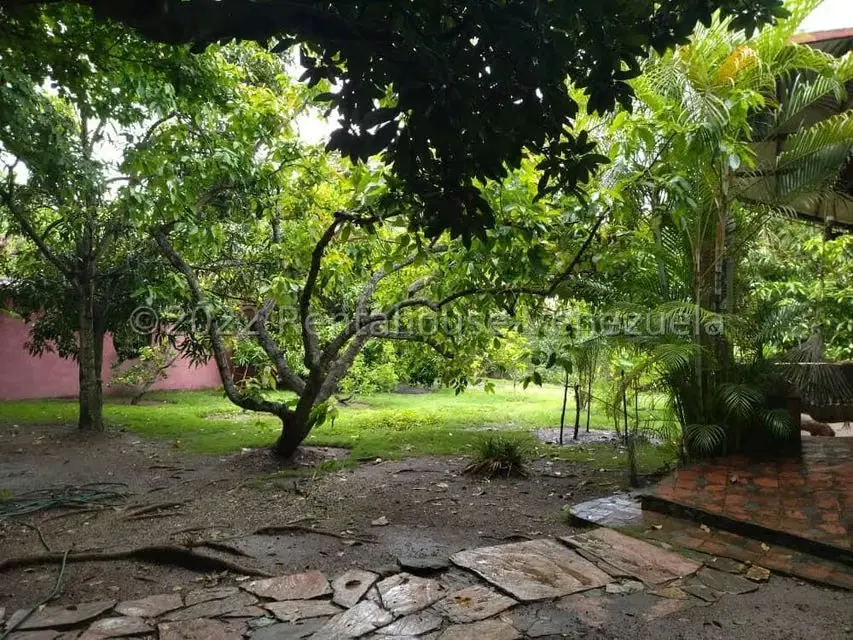 Casa (1 Nivel) en Venta en Bruzual, Yaracuy - 10