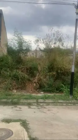 Vista 2