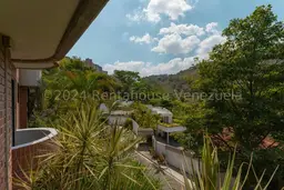 Vista 39