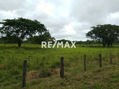 Finca Operativa en Venta en vía Maturín - Orocual, Estado Monagas