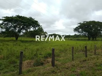 Finca Operativa en Venta en vía Maturín - Orocual, Estado Monagas