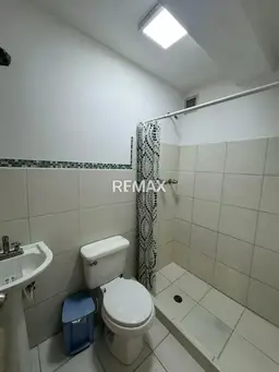 Vista 6