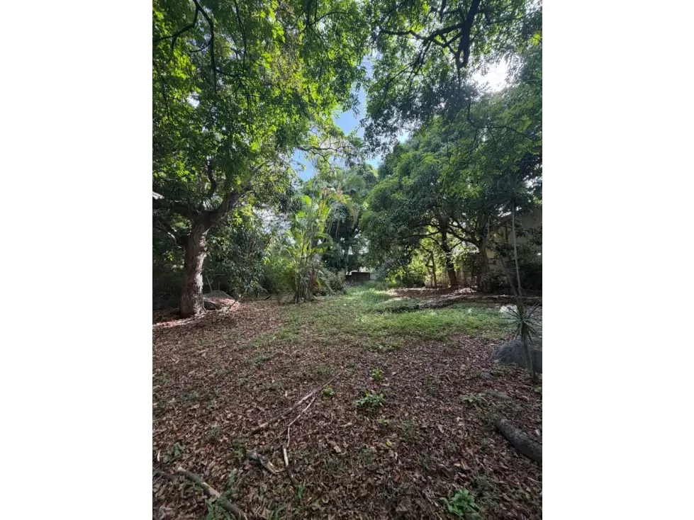Se vende Terreno 1.800m² La Castellana - 3