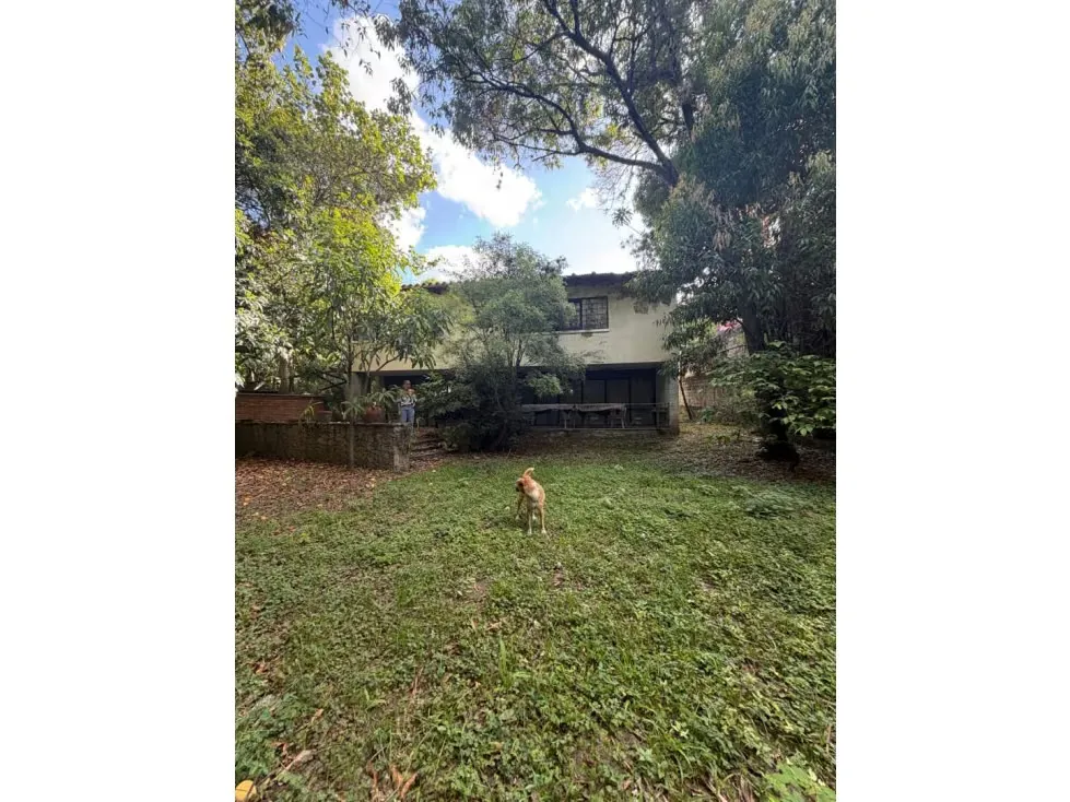 Se vende Terreno 1.800m² La Castellana - 6