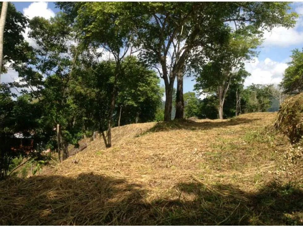 Terreno en venta en Sabaneta, El Hatillo 55.343m2 ¡Oportunidad! - 11