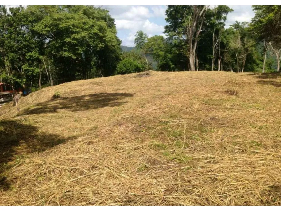 Terreno en venta en Sabaneta, El Hatillo 55.343m2 ¡Oportunidad! - 2