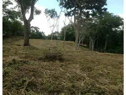 Vista 3
