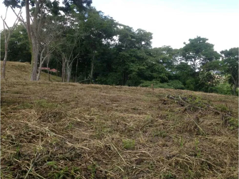 Terreno en venta en Sabaneta, El Hatillo 55.343m2 ¡Oportunidad! - 5