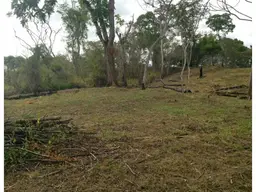 Vista 6