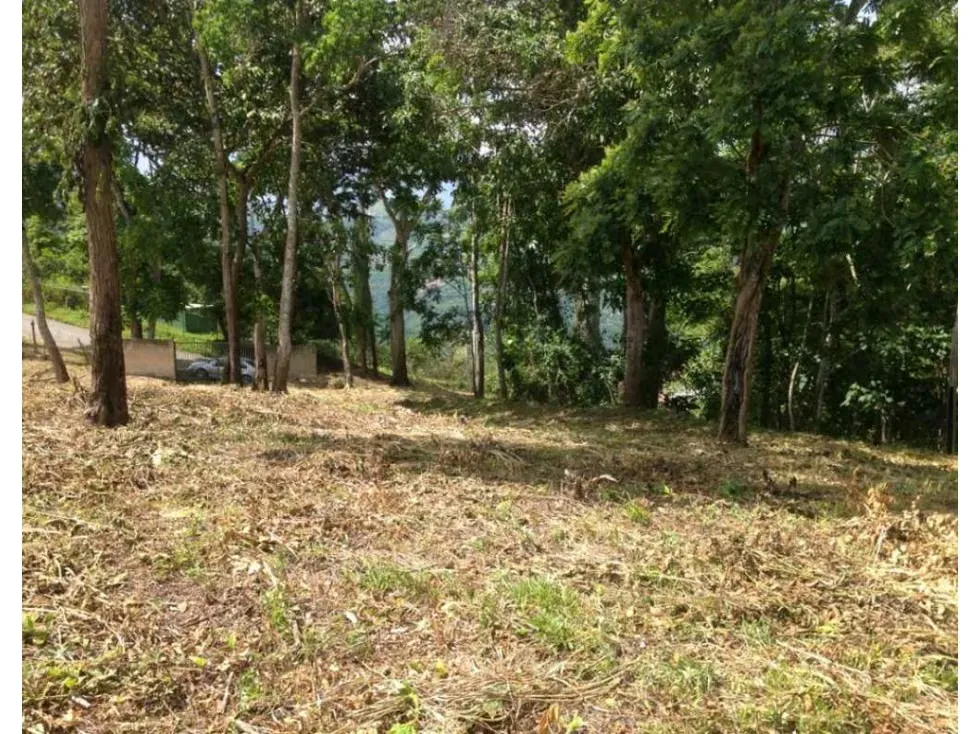 Terreno en venta en Sabaneta, El Hatillo 55.343m2 ¡Oportunidad! - 7