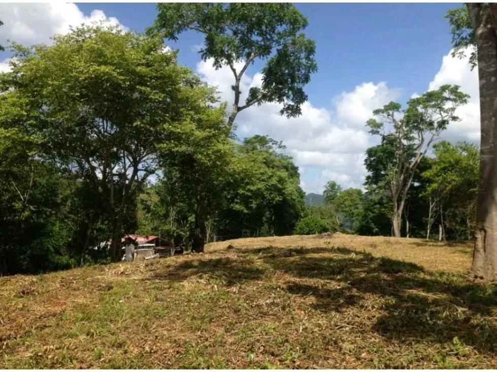 Terreno en venta en Sabaneta, El Hatillo 55.343m2 ¡Oportunidad! - 8
