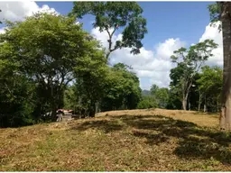 Vista 8