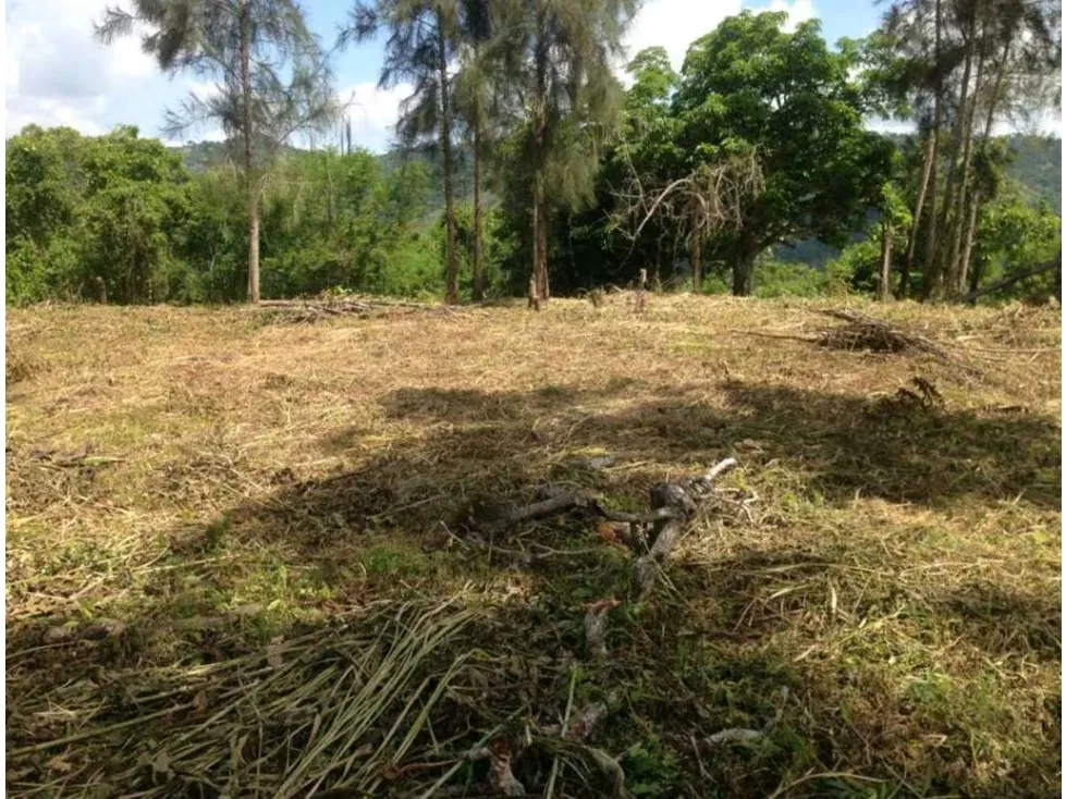 Terreno en venta en Sabaneta, El Hatillo 55.343m2 ¡Oportunidad! - 9
