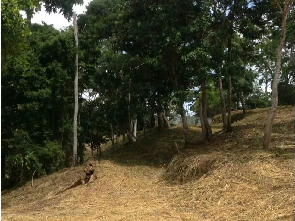 Terreno en venta en Sabaneta, El Hatillo 55.343m2 ¡Oportunidad! - 10