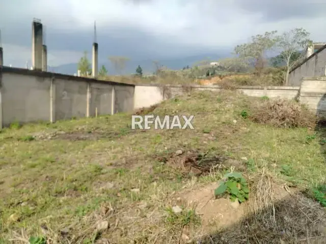 PARCELA 8 EN VENTA LA CASTELLANA