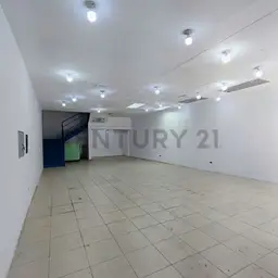 Vista 3