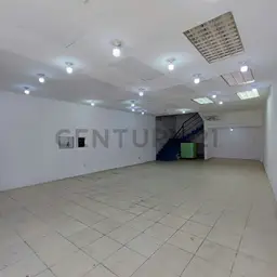 Vista 4