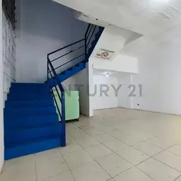 Vista 5
