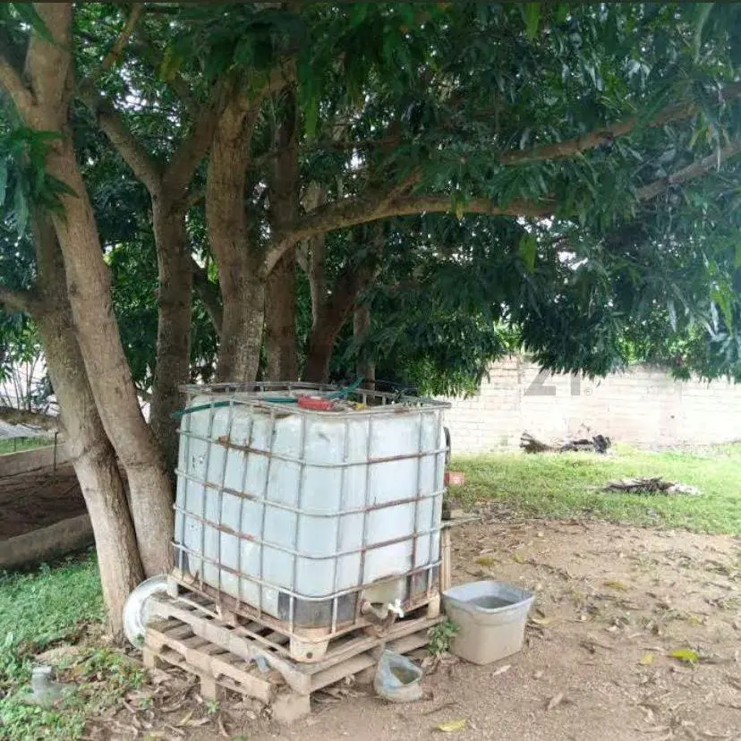 Mini Finca en venta - 14