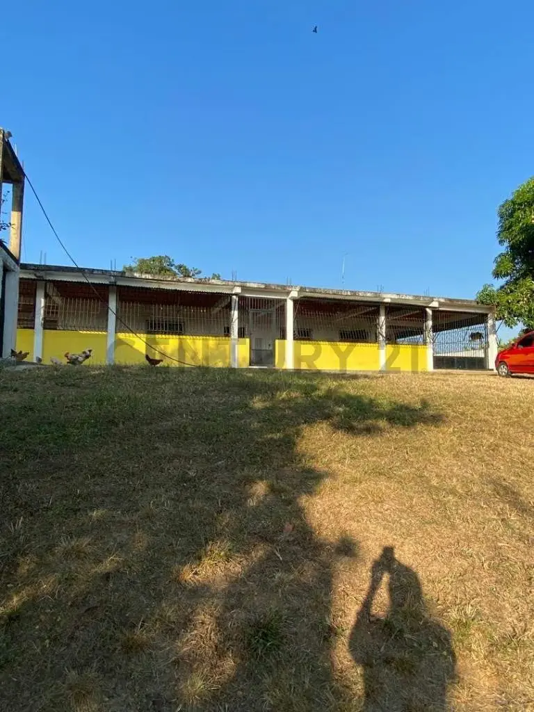 Mini Finca en venta - 4