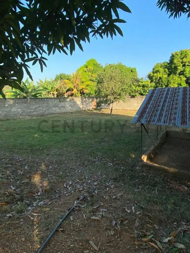 Mini Finca en venta - 5
