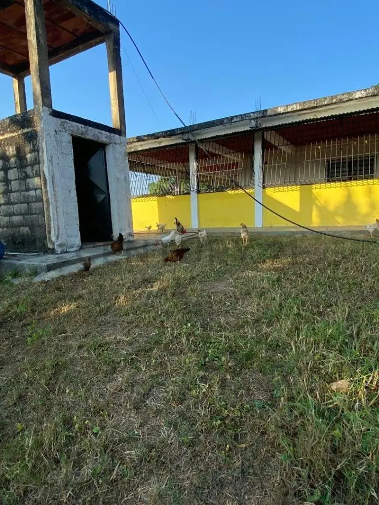 Mini Finca en venta - 7
