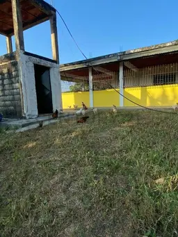 View 7