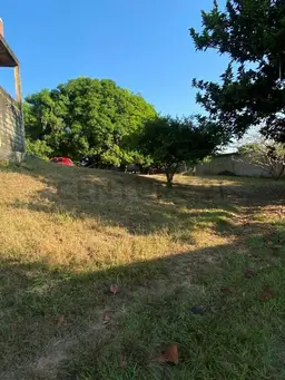 View 8